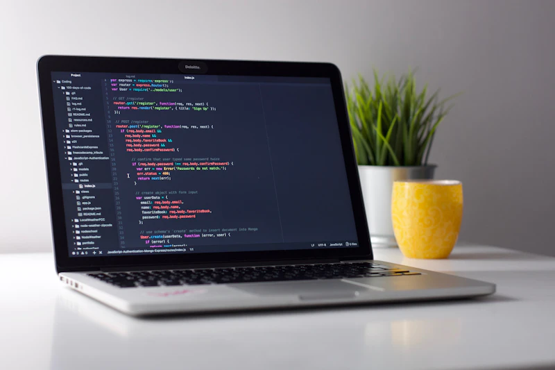 US STEM OPT & H1B Guidance