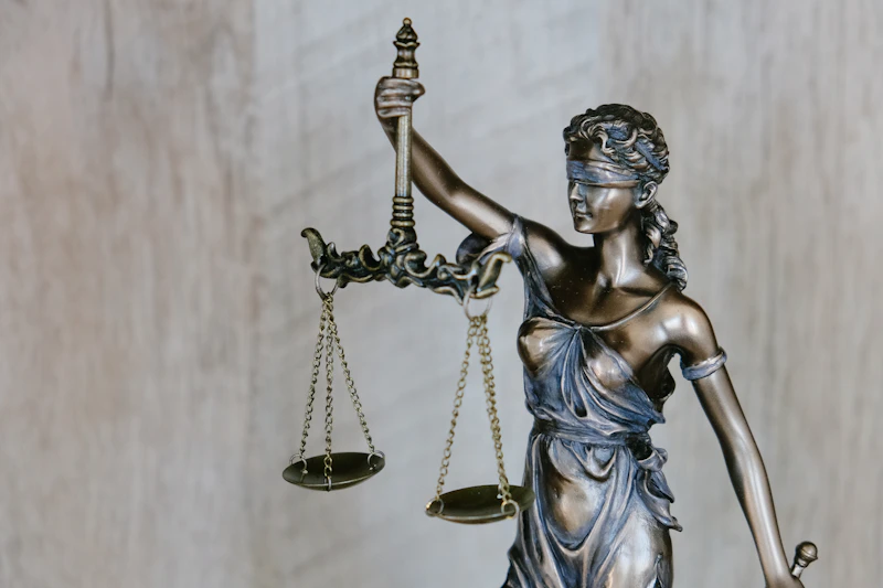 Study Abroad Guide: Master of Laws (LLM) & International Law Abroad: Top Law Schools & Bar Guide
